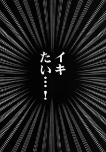 停波総集編, 日本語