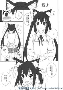 Neko Biyori -Nakano Azusa-, 中文