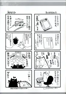 留美iX, 日本語