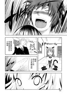 Sundere! Ch.11-16, 中文