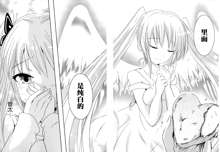 Sundere! Ch.11-16, 中文