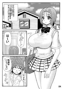 爆乳美少女よろず本セット, 日本語