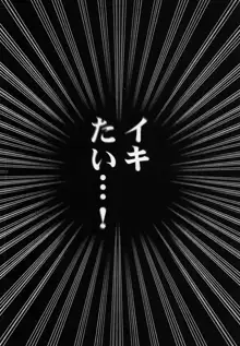 停波総集編, 日本語