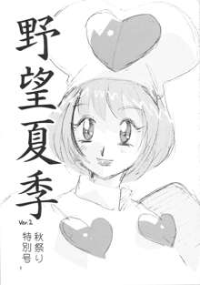 野望夏季 Ver.2, 日本語