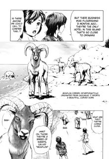 Nangoku no Mouflon | Mouflon of the South, English