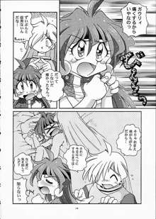 SLAYERS TRILOGY, 日本語