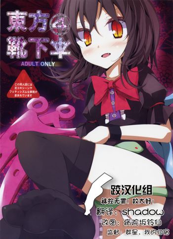 Touhou Kutsushita Bon 4 | Touhou Socks Book 4, 中文