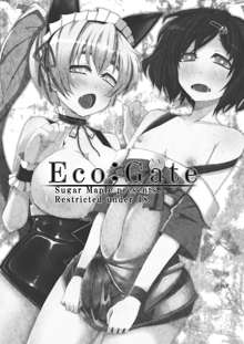 Eco;Gate, 日本語