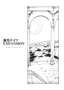 東方浮世絵巻 微笑ナイフEXPANSION, 日本語