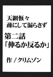 天網恢々疎にして漏らさず, 日本語