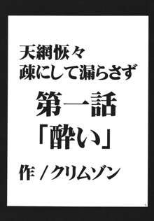 天網恢々疎にして漏らさず, 日本語