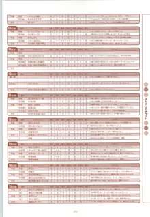 RISE ～ライズ～ 攻略&設定資料集, 日本語