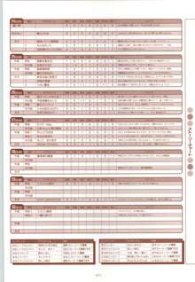 RISE ～ライズ～ 攻略&設定資料集, 日本語