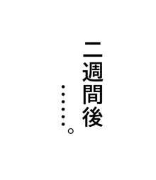 【蟲姦】産み付け→孵化→出産, 日本語