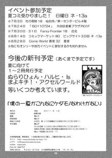 僕の一夏がこんなにケダモノなわけがない, 日本語