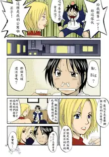 THE YURI & FRIENDS MARY SPECIAL, 中文