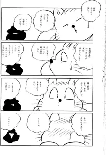 CAT'S EYE, 日本語