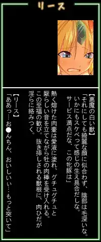 聖○伝説3～風の王国・リー○王女陥落～, 日本語