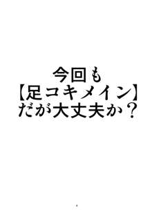 東方ドMホイホイ～フラ○ドール編～, 日本語