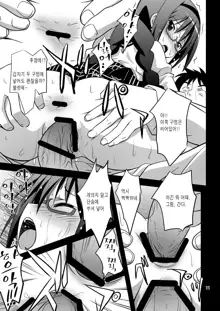 Akemi Homura Mesudorei Choukyou, 한국어