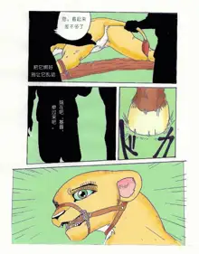 the lion king, 中文