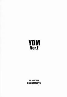 YDM Ver.E, 日本語