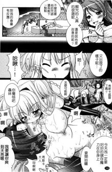 Brandish 4, 中文