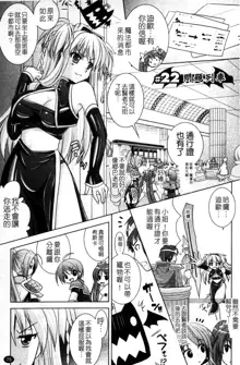 Brandish 4, 中文