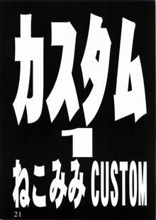 カスタム1 ねこみみCUSTOM, 日本語