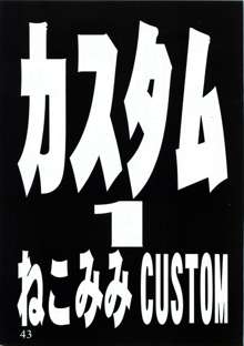 カスタム1 ねこみみCUSTOM, 日本語