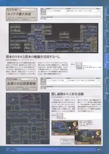 神採りアルケミーマイスター パーフェクトガイドブック, 日本語