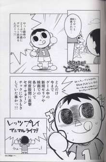 俺の夏 2008, 日本語