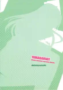 YAMADARIA!!, 日本語