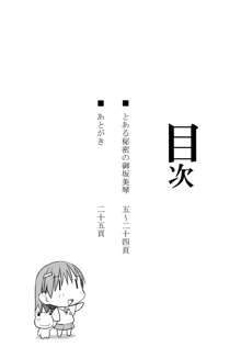 Toaru Himitsu no Onee-sama, English