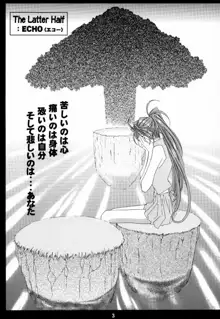 Silent Bell -Echo- Ah! My Goddess Outside-Story, 日本語