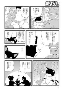 ドキッ！牝猫だらけの孤島大会！, 日本語