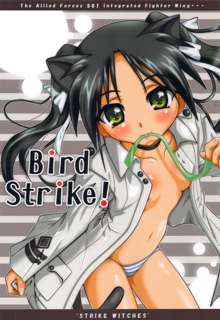 Bird Strike!, English