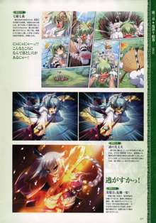 Shin-Koihime Musou Otome Ryouran Sangokushi Engi Perfect Visual Book, 日本語