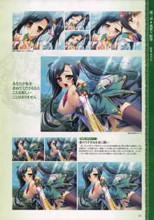 Shin-Koihime Musou Otome Ryouran Sangokushi Engi Perfect Visual Book, 日本語