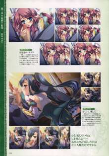 Shin-Koihime Musou Otome Ryouran Sangokushi Engi Perfect Visual Book, 日本語