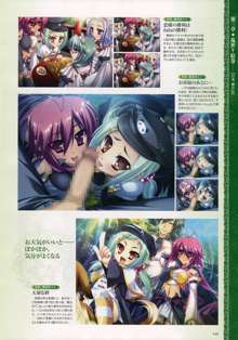 Shin-Koihime Musou Otome Ryouran Sangokushi Engi Perfect Visual Book, 日本語