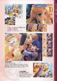 Shin-Koihime Musou Otome Ryouran Sangokushi Engi Perfect Visual Book, 日本語