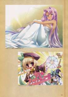 Shin-Koihime Musou Otome Ryouran Sangokushi Engi Perfect Visual Book, 日本語