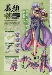 Shin-Koihime Musou Otome Ryouran Sangokushi Engi Perfect Visual Book, 日本語