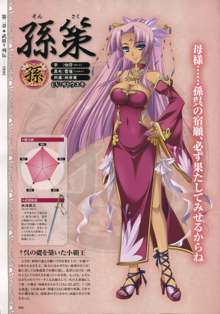 Shin-Koihime Musou Otome Ryouran Sangokushi Engi Perfect Visual Book, 日本語