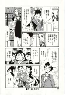 ホテルで抱きしめて 麗し淑女編, 日本語