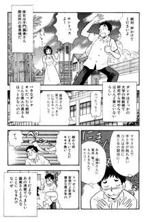 ひみつ妻, 日本語