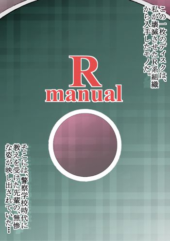 Rmanual R.B補完計画, 日本語