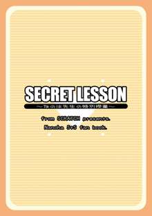 SECRET LESSON ～なのは先生の特別授業～, 日本語