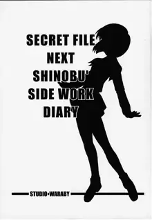 SECRET FILE NEXT しのぶのアルバイト日記, 日本語